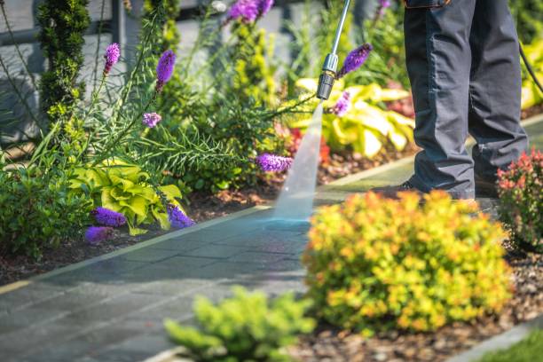 Best Gutter Cleaning  in Helena Flats, MT